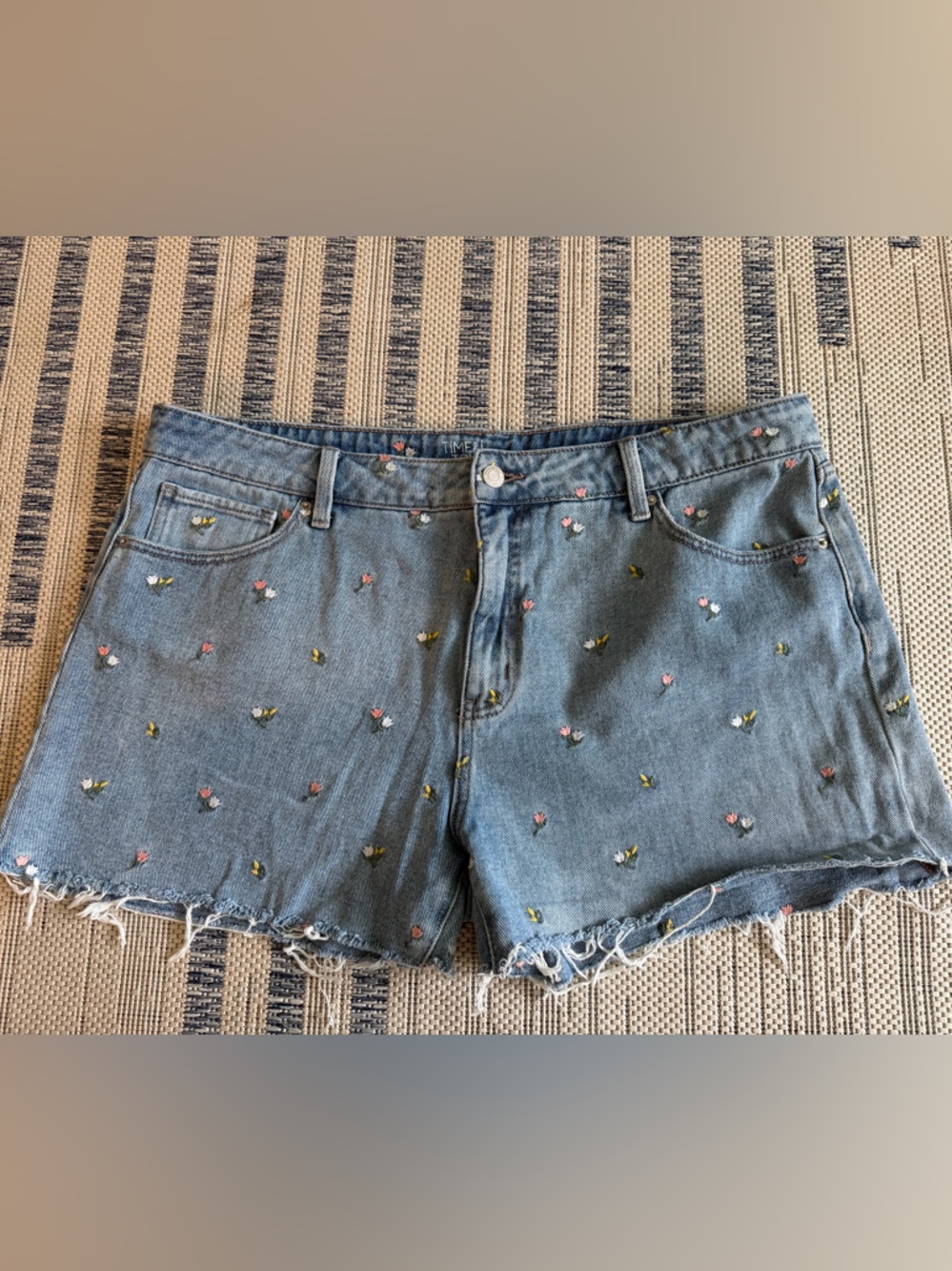 Time and Tru Light Blue Denim Shorts with Floral Embroidery
